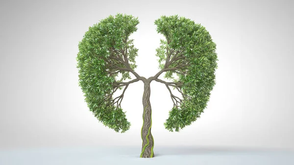 Lungs Earth Tree Shape Lungs Eco Concept World Rendering — Stock Photo, Image