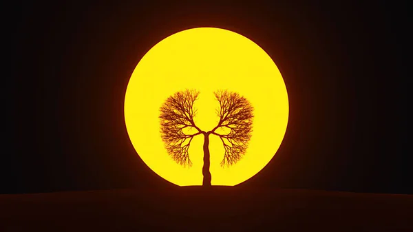 Pulmões Terra Árvore Nascer Sol Forma Pulmões Conceito Eco Salve — Fotografia de Stock
