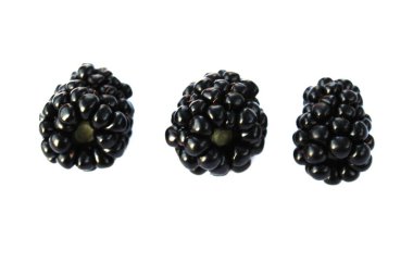 Blackberry izole edilmiş, böğürtlen beyaz arka planda, böğürtlen