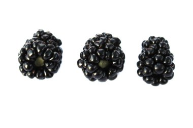 Blackberry izole edilmiş, böğürtlen beyaz arka planda, böğürtlen