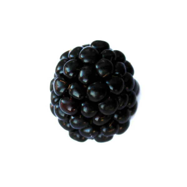 Blackberry Isolated Blackberry White Background Blackberries — Stock Photo, Image