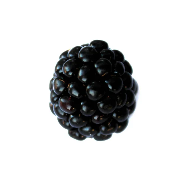 Blackberry Isolated Blackberry White Background Blackberries — Stock Photo, Image