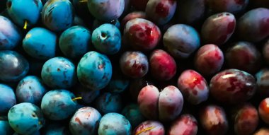 İki farklı erik tarlası, biri plastik sepette, biri bir sepetin içinde, biri diğerinin içinde..