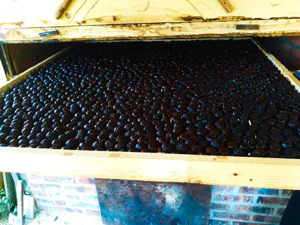 Half-dried plums on a wooden stand, the plums are stacked side by side. The traditional way of drying plums at a high temperature in Bosnia and Herzegovina.
