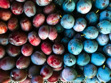 İki farklı erik tarlası, biri plastik sepette, biri bir sepetin içinde, biri diğerinin içinde..