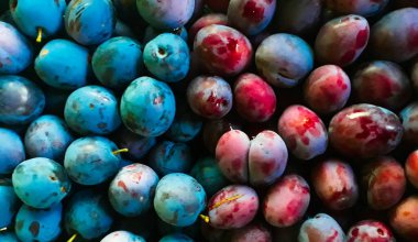 İki farklı erik tarlası, biri plastik sepette, biri bir sepetin içinde, biri diğerinin içinde..