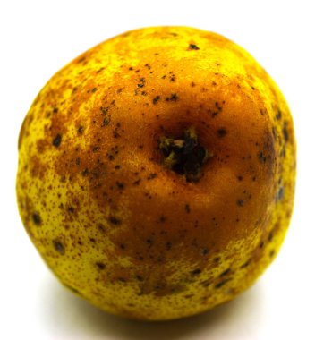 Beyaz arka planda güzel sarı bir armut. Beyaz arka planda siyah noktalı sarı armut.