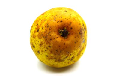 Beyaz arka planda güzel sarı bir armut. Beyaz arka planda siyah noktalı sarı armut.