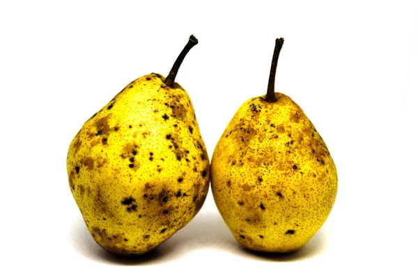 两个漂亮的黄色梨在白色的背景上 两个带黑点的黄色梨 背景为白色 — 图库照片