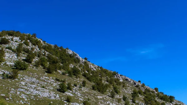 Koncepcja Pustyni Górskiej Krzewy Wzgórzu Kamieniami Drodze Górę Bjelasnica — Zdjęcie stockowe