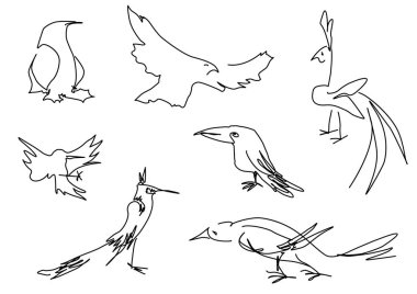 Doğrusal kroki kuş siluet