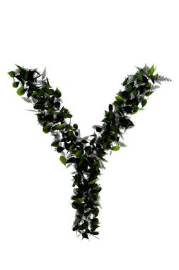 Y harfi beyaz üzerine izole edilmiş yaprak. 3 boyutlu.