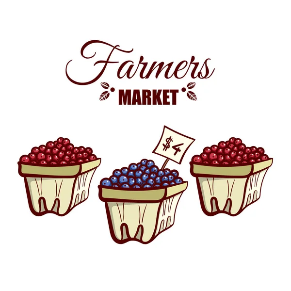 Farmers Market Varias bayas — Archivo Imágenes Vectoriales
