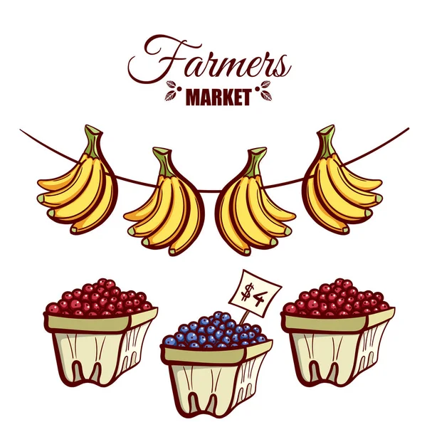 Farmers Market Bananas Bayas — Archivo Imágenes Vectoriales