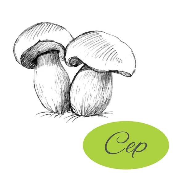 Gambar Tangan Cep - Stok Vektor