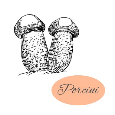 Porcini mürekkeple çizme