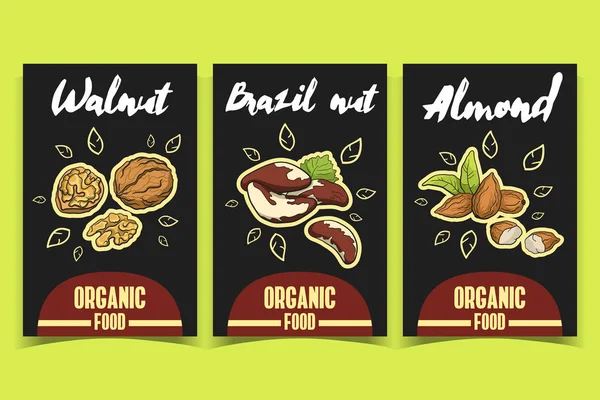 Лейблы Walnut Brazil nut Almond — стоковый вектор