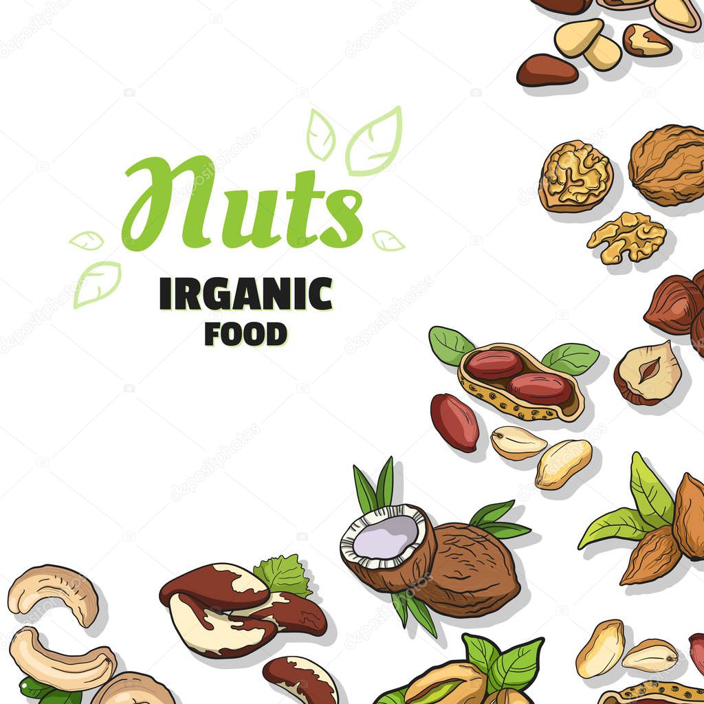 Nuts Healthy Nutrition