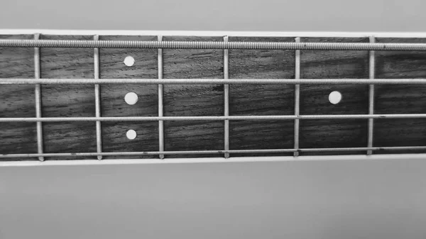 Bajo Guitarra Cuello Primer Plano Blanco Negro —  Fotos de Stock