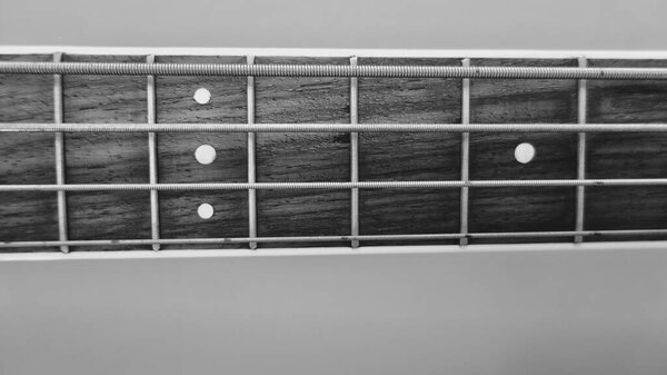 Bass guitar neck closeup . black and white