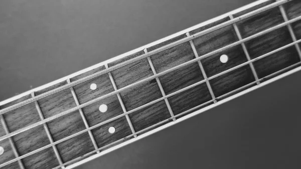 Bass Guitar Neck Closeup Black White — Stock Photo, Image