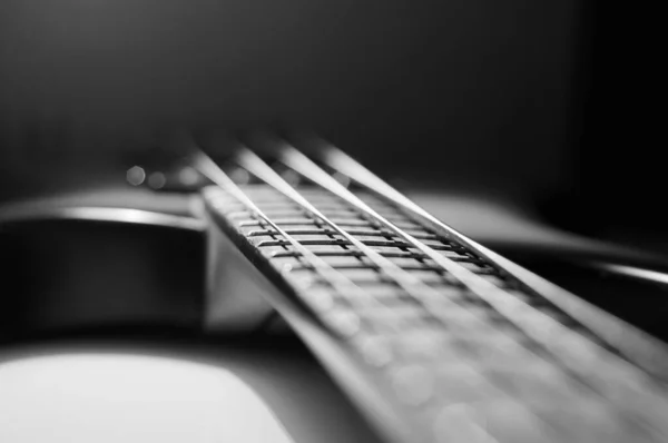 Bass Guitar Closeup Черный Белый — стоковое фото