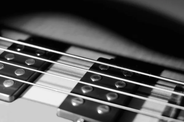 Bass Guitar Closeup Черный Белый — стоковое фото