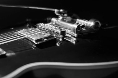 Elektro gitar kapanışı. siyah ve beyaz
