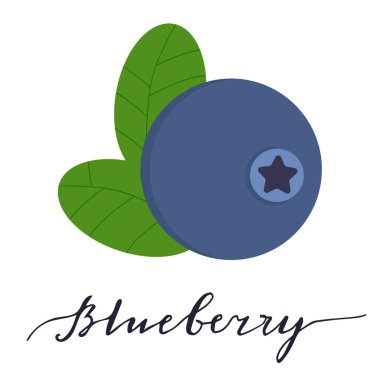 Yapraklı yabanmersini ikonu. El çizimi harfler. Berry çiftlik pazarı, vejetaryen salata tarifi veya web tasarımı için tasarlandı. Düz bir şekilde gölgeli vektör çizimi. Beyaz arkaplanda izole.