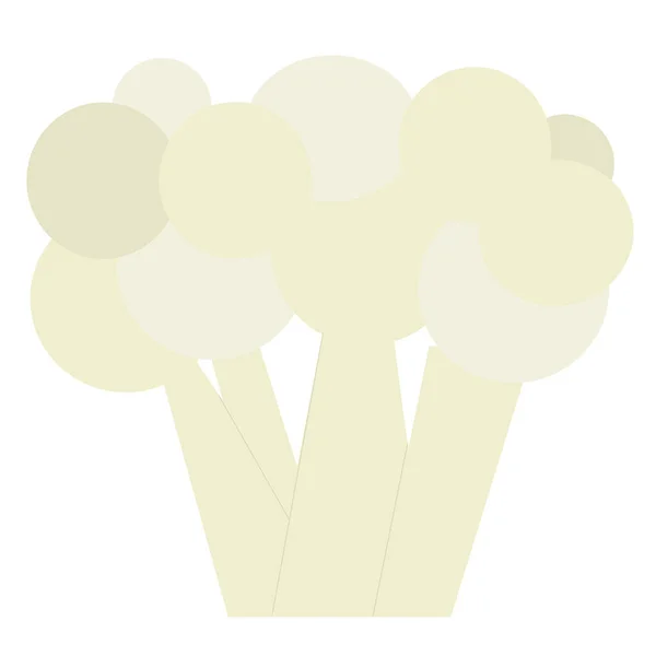 Плоский Значок Цвітної Капусти Векторні Ілюстрації Літня Рослинна Графічна Ікона — стоковий вектор