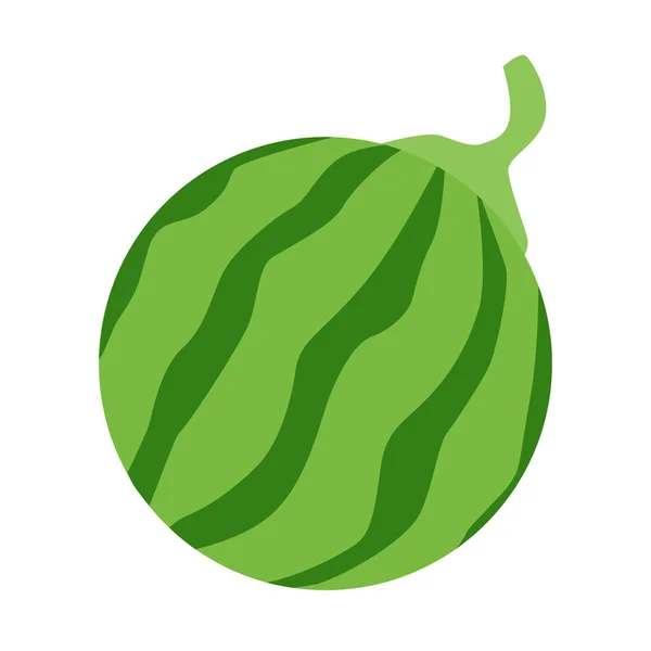 Rund Vattenmelon Vektor Ikon Isolerad Vit Bakgrund Grön Frukt Med — Stock vektor