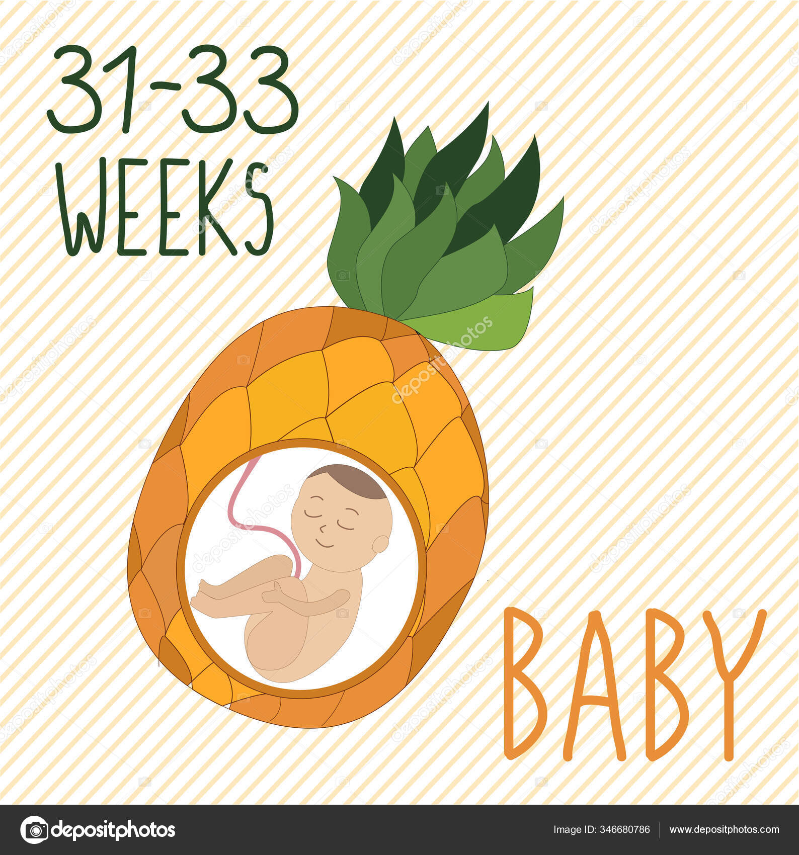 Pineapple Pregnancy Development Size Embryo Weeks Compare Fruits Human
