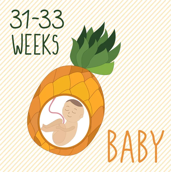Ananas Rozwój Ciąży Wielkość Zarodka Przez Tygodnie Porównaniu Owocami Ludzki — Wektor stockowy
