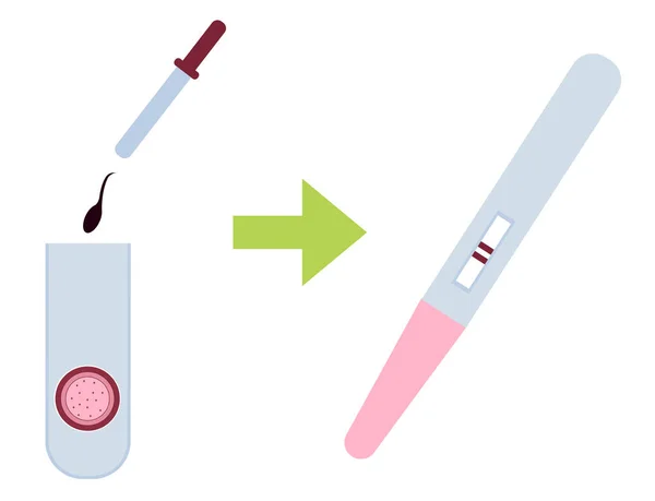 Vitro Fertilisation Und Schwangerschaftstest Sperma Ein Reagenzglas Geben Medizinisch Biologisches — Stockvektor