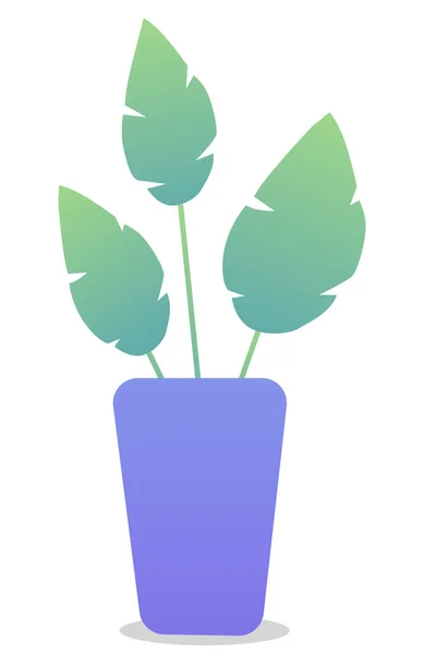 Panela Flor Roxa Com Uma Planta Grandes Folhas Verdes Caules — Vetor de Stock
