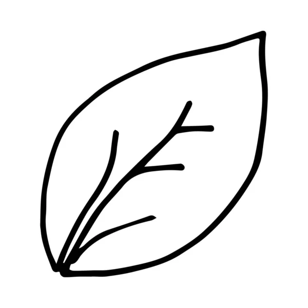 手绘的树叶涂鸦 简单厚实的黑线 最适合自然和儿童彩色书的设计 在白色背景上孤立的向量图 — 图库矢量图片