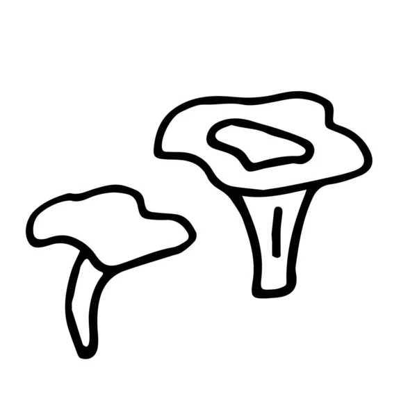 Set Funghi Scarabocchi Disegnati Mano Semplice Linea Nera Spessa Fungo — Vettoriale Stock
