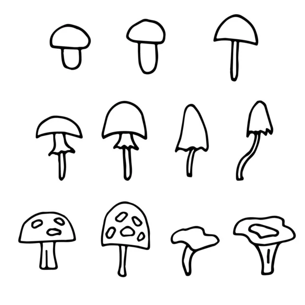 Ensemble Champignons Griottes Dessinés Main Simple Ligne Noire Épaisse Idéal — Image vectorielle