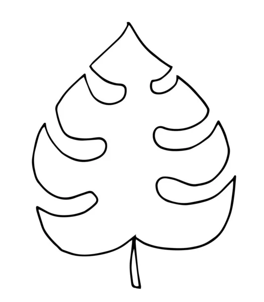 Handgezeichnetes Doodle Monstera Tropenblatt Symbol Auf Weißem Hintergrund Vektorillustration Sammlung — Stockvektor