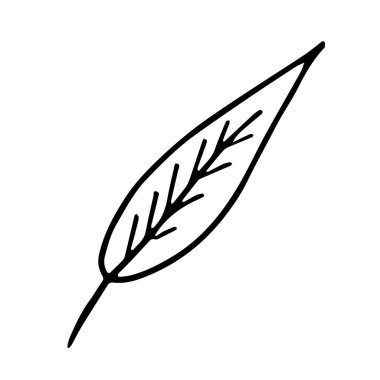 Basit el çizimi karalama. Boyama kitabı için siluet vektörü ayarlandı. Siyah, kalın bir vuruş. Beyaz arkaplanda izole edilmiş vektör çizimi.