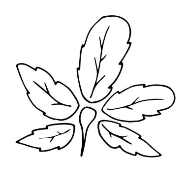 Basit el çizimi karalama. Boyama kitabı için siluet vektörü ayarlandı. Siyah, kalın bir vuruş. Beyaz arkaplanda izole edilmiş vektör çizimi.