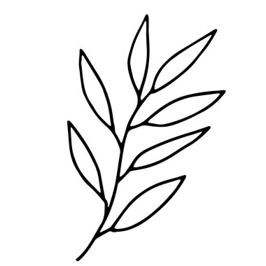 Basit el çizimi karalama. Boyama kitabı için siluet vektörü ayarlandı. Siyah, kalın bir vuruş. Beyaz arkaplanda izole edilmiş vektör çizimi.