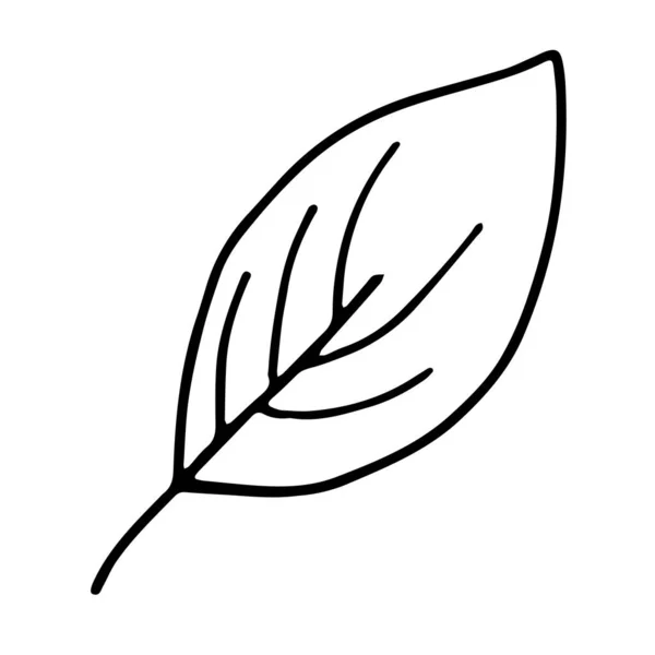 Einfaches Handgezeichnetes Doodle Blätter Silhouette Vektor Set Für Malbuch Schwarzer — Stockvektor