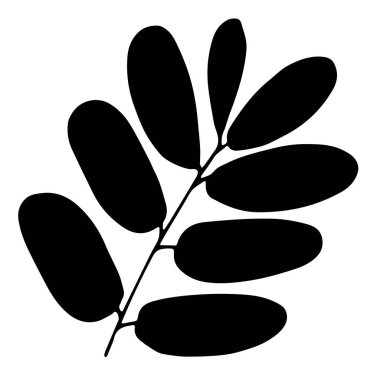 Basit el çizimleri seti. Boyama kitabı için siluet vektörü ayarlandı. Siyah, kalın bir vuruş. Beyaz arkaplanda izole edilmiş vektör çizimi.