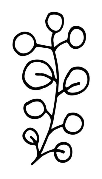 Blumenelemente Blumen Laub Und Blätter Handskizzierte Vektor Vintage Elemente Doodle — Stockvektor