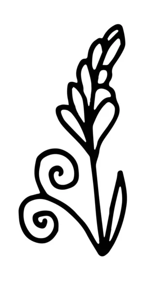 Bloemelementen Bloemen Gebladerte Bladeren Handgeschetste Vector Vintage Elementen Doodle Stijl — Stockvector