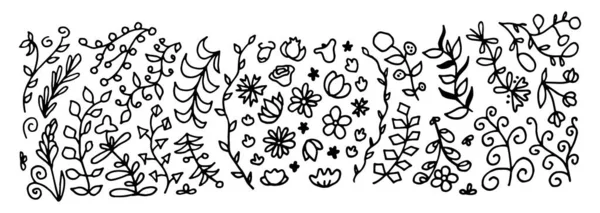 Elementos florales, flores, follaje y hojas. Elementos vintage vectoriales dibujados a mano, estilo garabato . — Archivo Imágenes Vectoriales