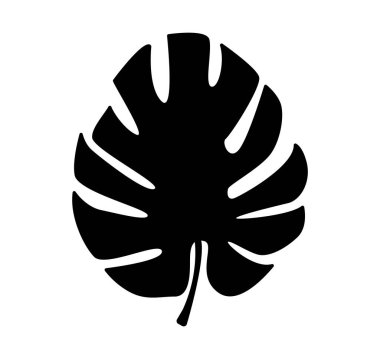 Basit el çizimi karalamalar. Tropikal yapraklar siluet vektörü. Siyah, kalın vuruş..