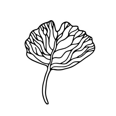 El çizimi yaprak vektörü çizimi. Büyük tropikal izin. Basit bir siyah vuruş. Tasarımınız için çiçek hattı izole edilmiş grafik elementleri, klasik tasarım için çiçek koleksiyonu.