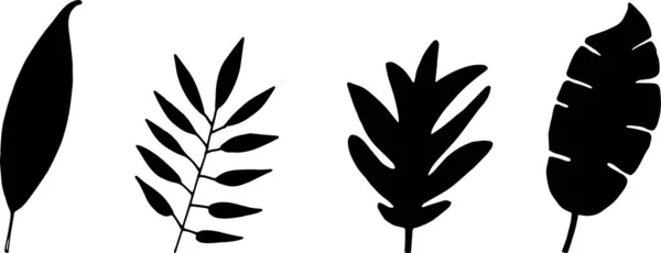 Illustration Vectorielle Feuille Dessinée Main Lineart Fleur Isolé — Image vectorielle